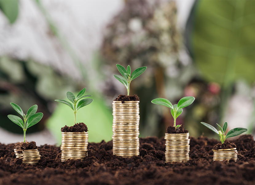 plants growing out of coins wealth management concept